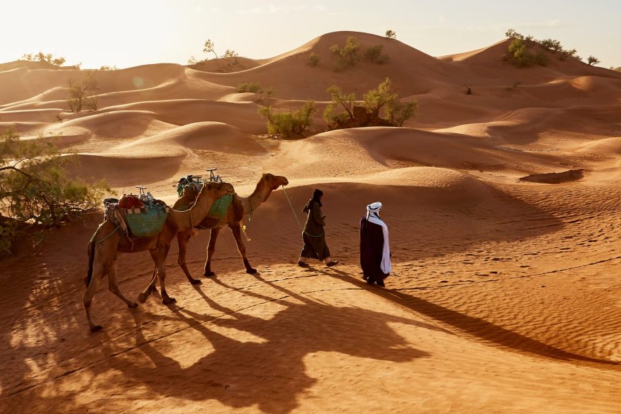 4 day desert tour from Fes to Marrakech