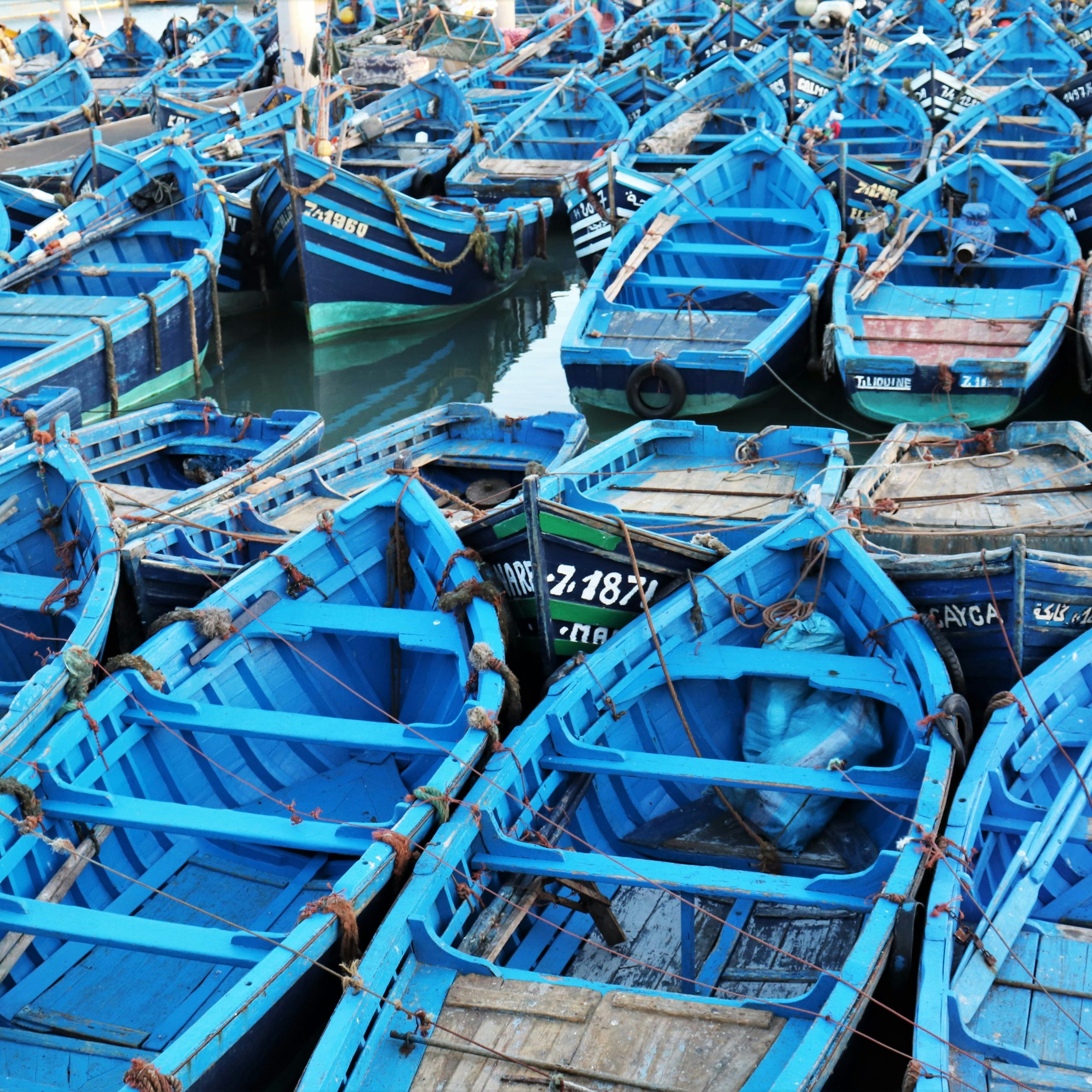 Day trip to Essaouira from Marrakech