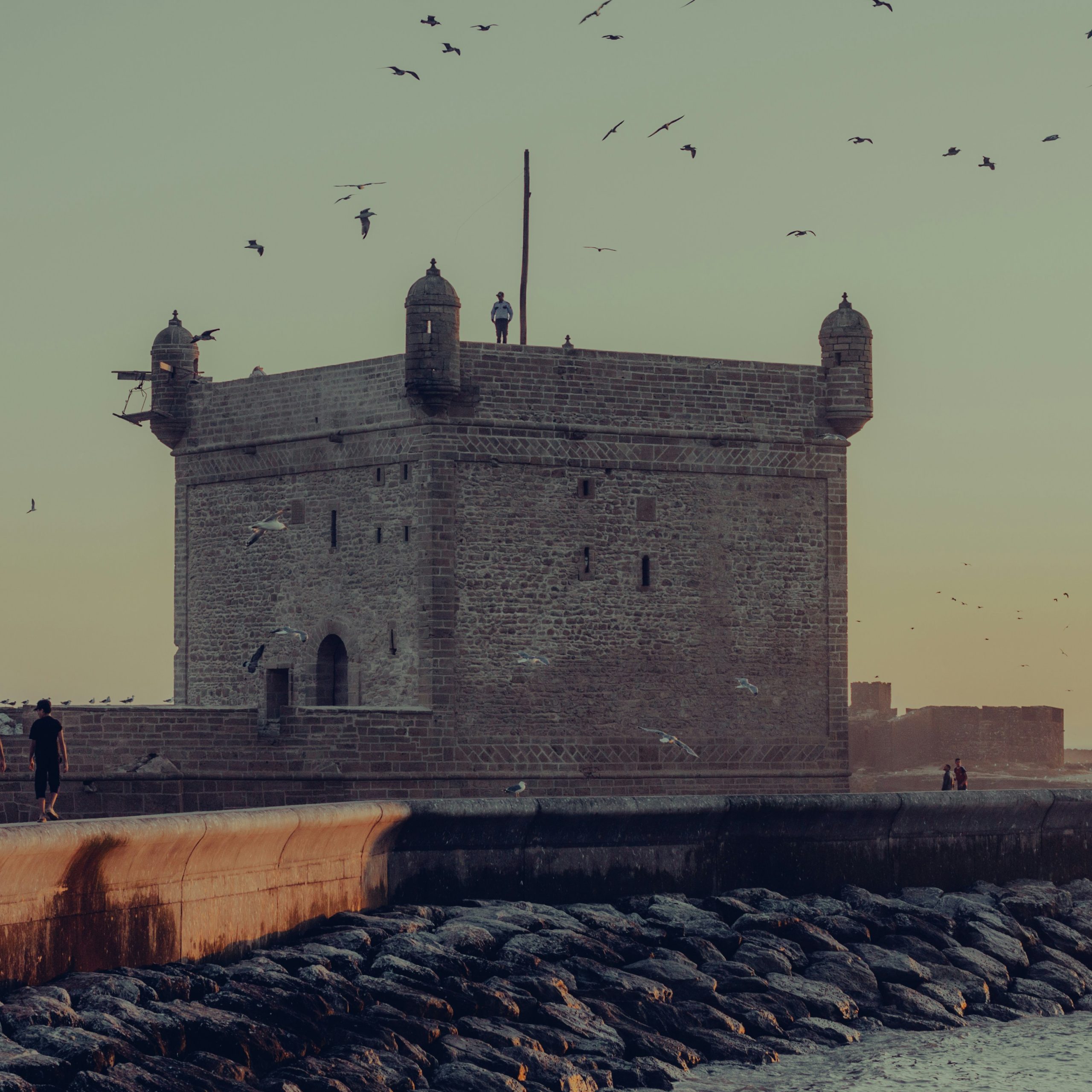 Day trip to Essaouira from Marrakech