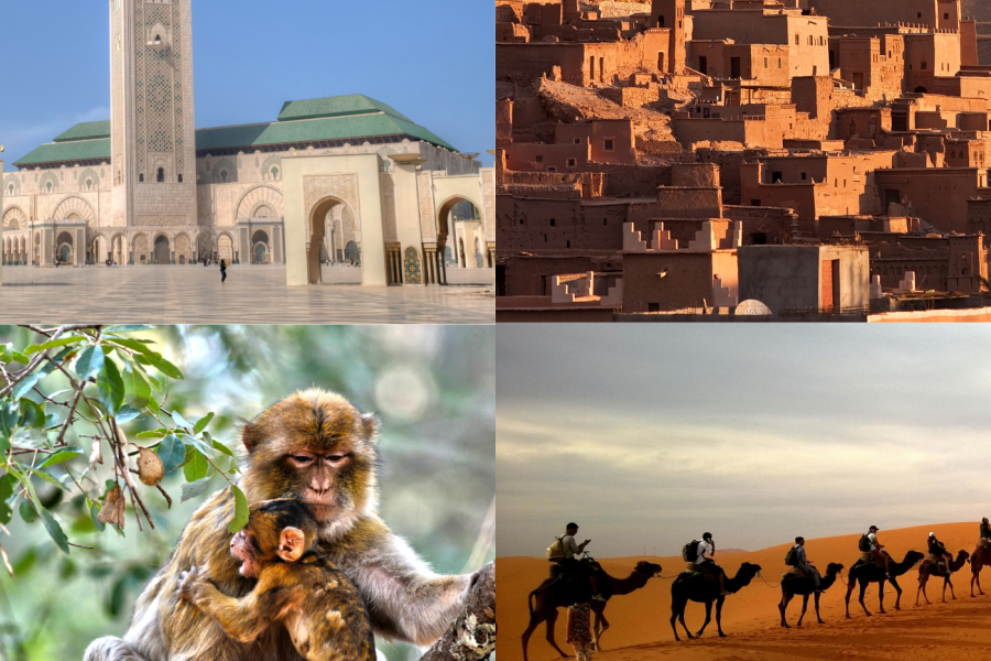 12-Day Morocco Tour from Casablanca