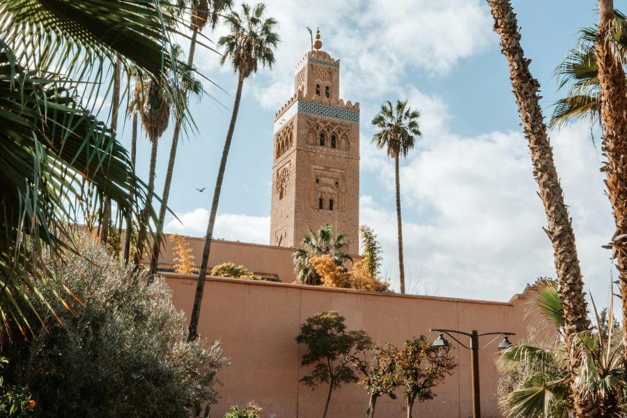 Day trip to Marrakech with camel ride from Casablanca